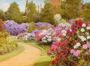 The Rhododendron Walk — George Marks