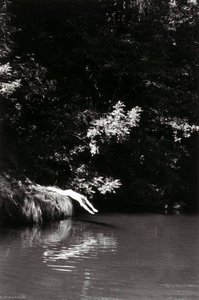 Navarro River (nude Diver) — Alvin Lieberman