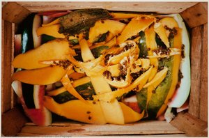 Ex-papaya — Gabriel Orozco