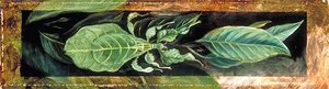 Leaf Insect — Marianne North