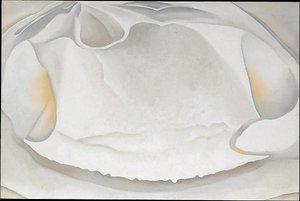 Clam Shell — Georgia O'keeffe