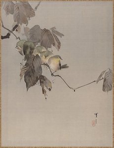 Birds on a Branch
