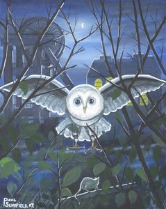 Barn Owl — Paul Schofield