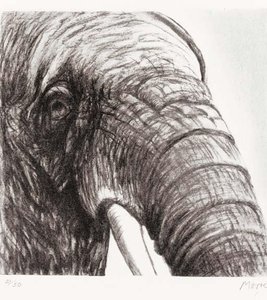 Elephant's Head — Henry Moore