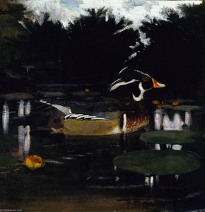 Male Wood Duck In A Forest Pool, Study For Book Concealing Coloration In The Animal Kingdom — Abbott Handerson Thayer, Impressionism