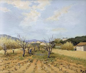 Vineyard At Terres Rouges — Marcel Dyf