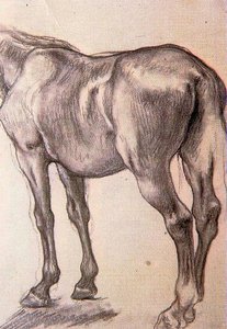 Study Of Horses — José Jiménez Aranda