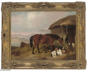 The Day's Bag — Colin Graeme Roe