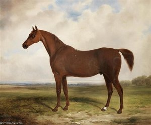 A Chestnut Horse In A Landscape — William Barraud