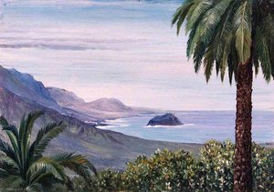Near Echod, Teneriffe — Marianne North