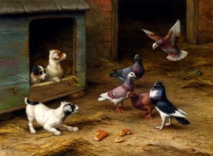 Puppies and pigeons playing by a kennel