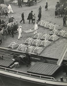 Cheese Market, Holland — Martin Munkácsi