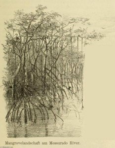 Untitled (aqu5vd) — Johann Büttikofer