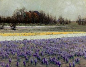 A Field Of Crocusses — George Hitchcock