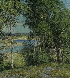 A Family Of Birches — Willard Leroy Metcalf