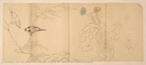 Two Studies Of Birds On A Willow And Flowering Plants — Xie Zhiliu