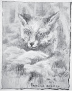 Profit Fox — Nicholas Roerich