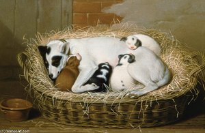 Bitch With Her Puppies In A Wicker Basket — Samuel De Wilde