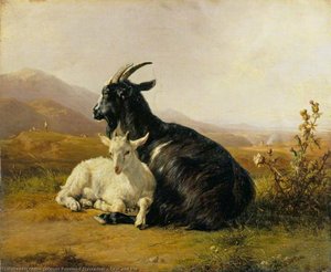 Goat and Kid