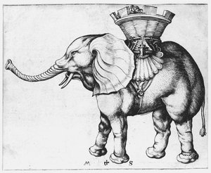 Elefant — Martin Schongauer