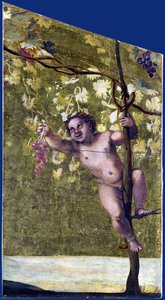 Putto Gathering Grapes — Annibale Carracci