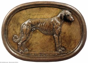Sakuki Greyhound — Benvenuto Cellini