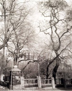 110th Street And Manhattan Avenue, Manhattan, From The New York Series 40 — Madoka Takagi