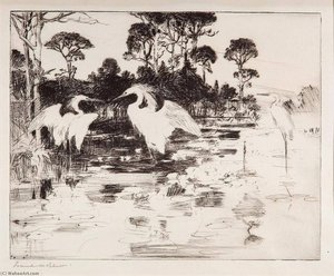 Water Lilies — Frank Weston Benson