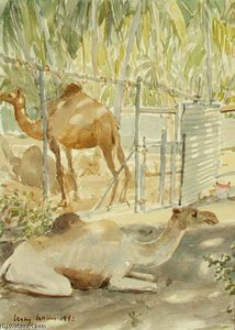 Camels At Rest — Lucy Willis