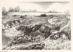 Carnasie Meadows — Hyman J Warsager
