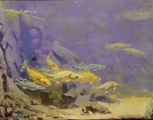 Fish In An Aquarium — Gerrit Willem Dijsselhof
