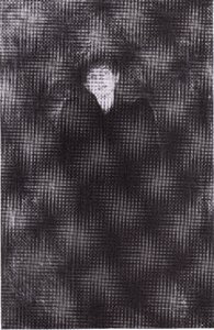 Portrait Of Dagny Juell Przybyszewski — Edvard Munch, Expressionist