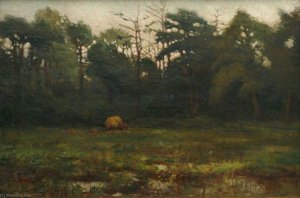 The Swamp, Cuckoo Mills, Falmouth