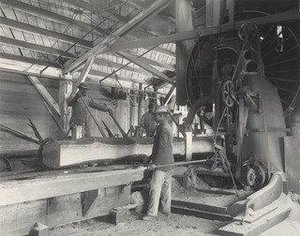 Log Sawing — Frances Benjamin Johnston