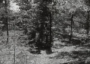 Eleanor, Wisconsin — Harry Callahan