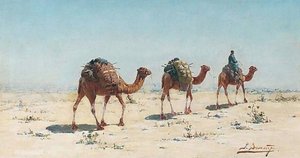 Camels in the desert