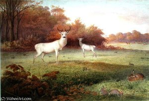 The knowsley menagerie