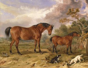 Portrait Of Reformer, Blucher, Tory And Crib, The Property Of Rowland Alston, Esq., M.p — James Ward, Romanticism