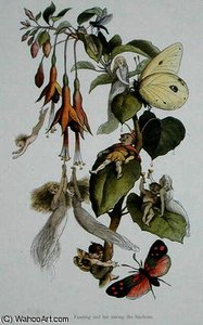 Feasting and fun among the fuschias