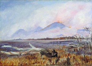 A Bush Fire At Sunset, Queensland — Marianne North