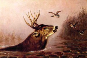 Deer In Marsh — Arthur Fitzwilliam Tait
