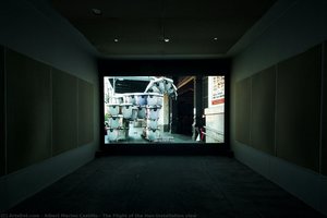 The Flight Of The Hen/installation View — Albert Merino Castillo