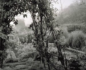Oneonta, New York Freckleton Beal Garden — Gregory Conniff