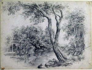 Trees And Pool — Homer Dodge Martin