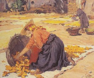 French Maïs au soleil