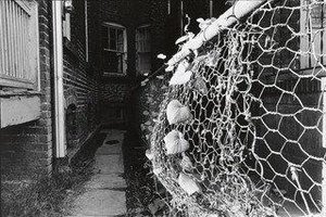 Untitled (wilkes Barre, Pennsylvania) — Mark Cohen