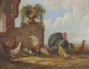 A Turkey And Other Fowl In A Garden — Albertus Verhoesen