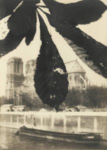 Notre Dame De Paris — Pierre Dubreuil