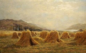 Harvest Time near St Fillans, Perthshire