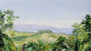View From Spring Gardens, Buff's Bay, Jamaica — Marianne North